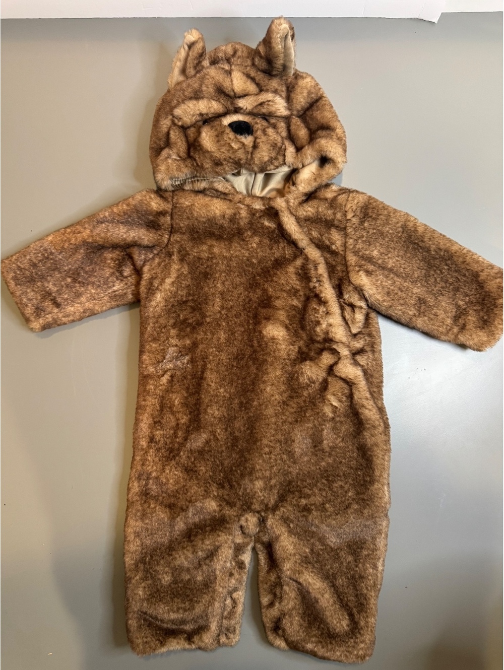 Pottery Barn Kids Wizard of Oz Toto Costume โ 6-12 months